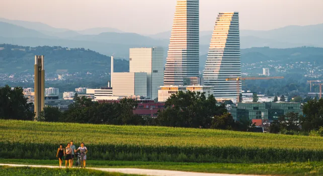 Blick auf die Roche-Türme vom Bruderholz aus