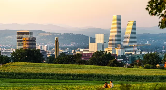 Blick vom Bruderholz in Richtung Stadt und Region Basel