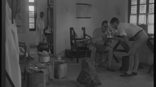 Ifakara (Tanganyika), das Labor des Schweizerischen Tropeninstituts. Leere Benzinbehälter zur Lagerung von Tsetse-Fliegenkäfigen, ein Termitenstock und der Arbeitsplatz von Prof. Geigy. Im Hintergrund das Labor mit Chemikalien; Assistent R. Alfredi und R. Geigy. Copyright: Swiss TPH