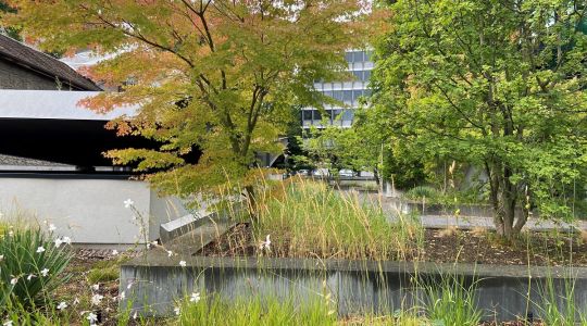  Biodiversität 