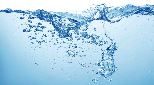  Pineapple_Studio - Freepik.com