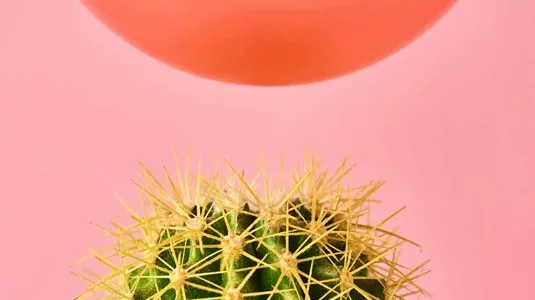 Das Bild zeigt einen Ballon der sehr knapp über einem Kaktur schwebt.