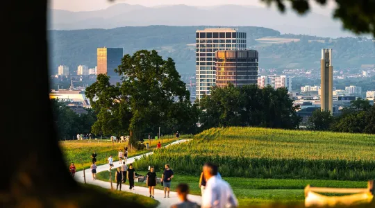 Wiese und Spazierweg. Blick vom Bruderholz Richtung Basel. Spaziergänger.