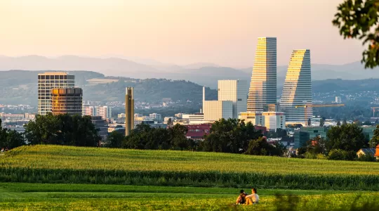 Blick vom Bruderholz in Richtung Stadt und Region Basel