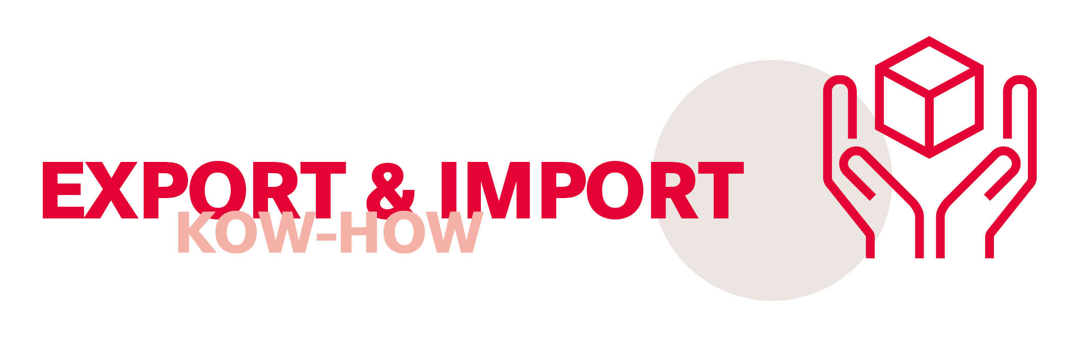Das Bild zeigt das Icon Export & Import Know-how