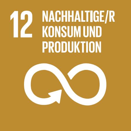 SDG 9 