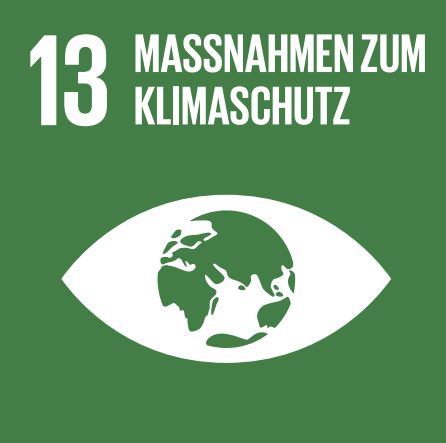 SDG 8