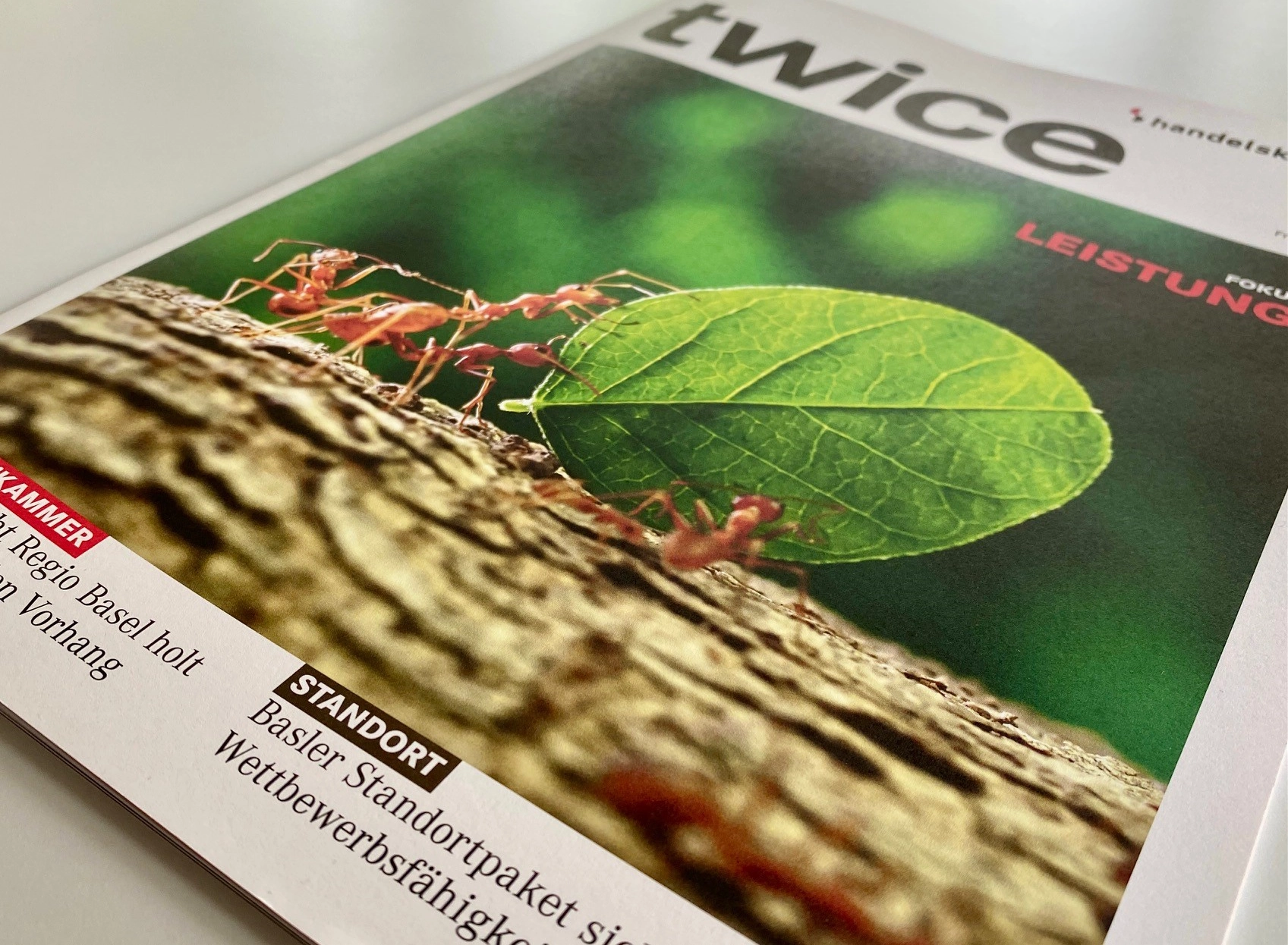 twice Frühjahrsausgabe 2025 Cover des Magazins twice mit Ameisen, die ein Blatt gemeinsam tragen.