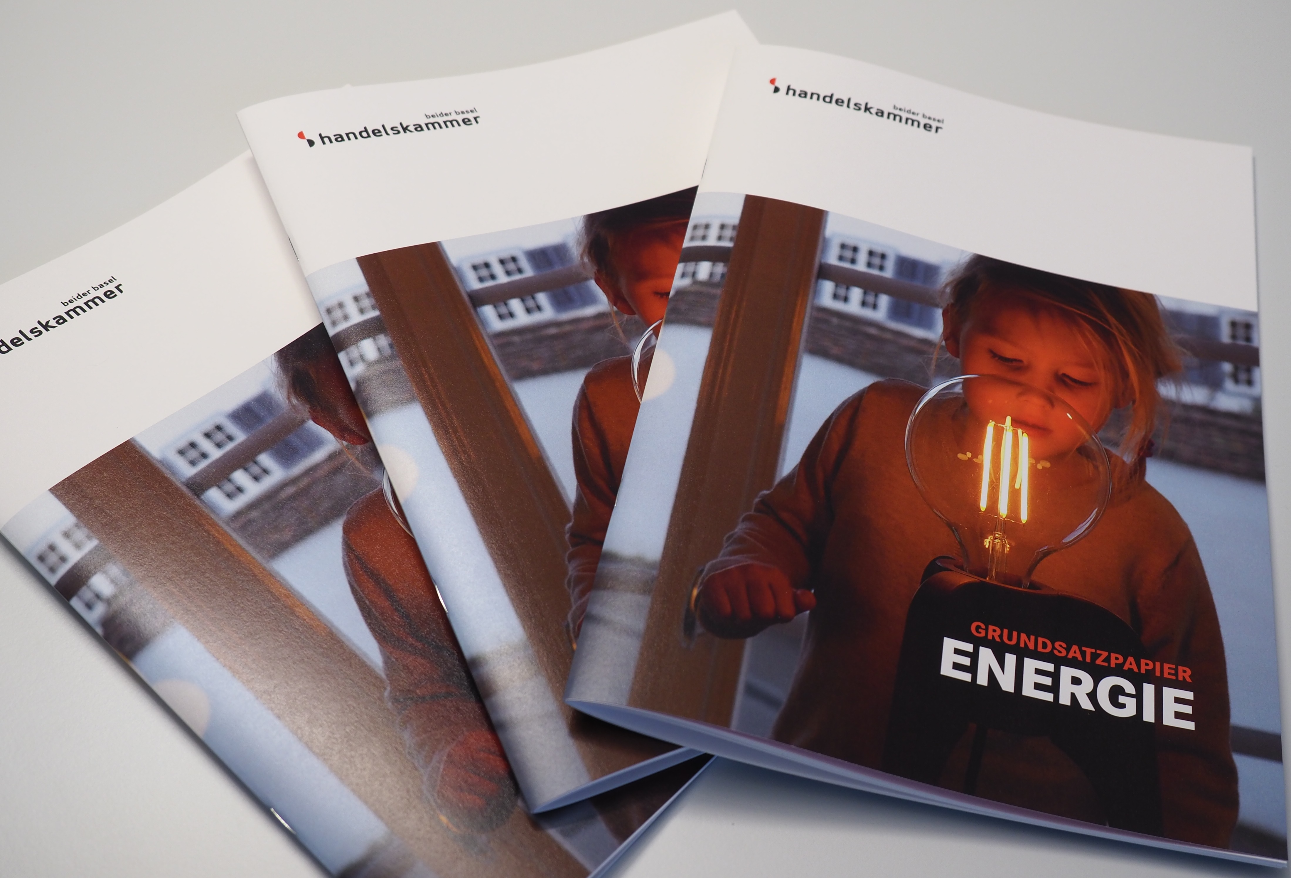 Grundsatzpapier Energie