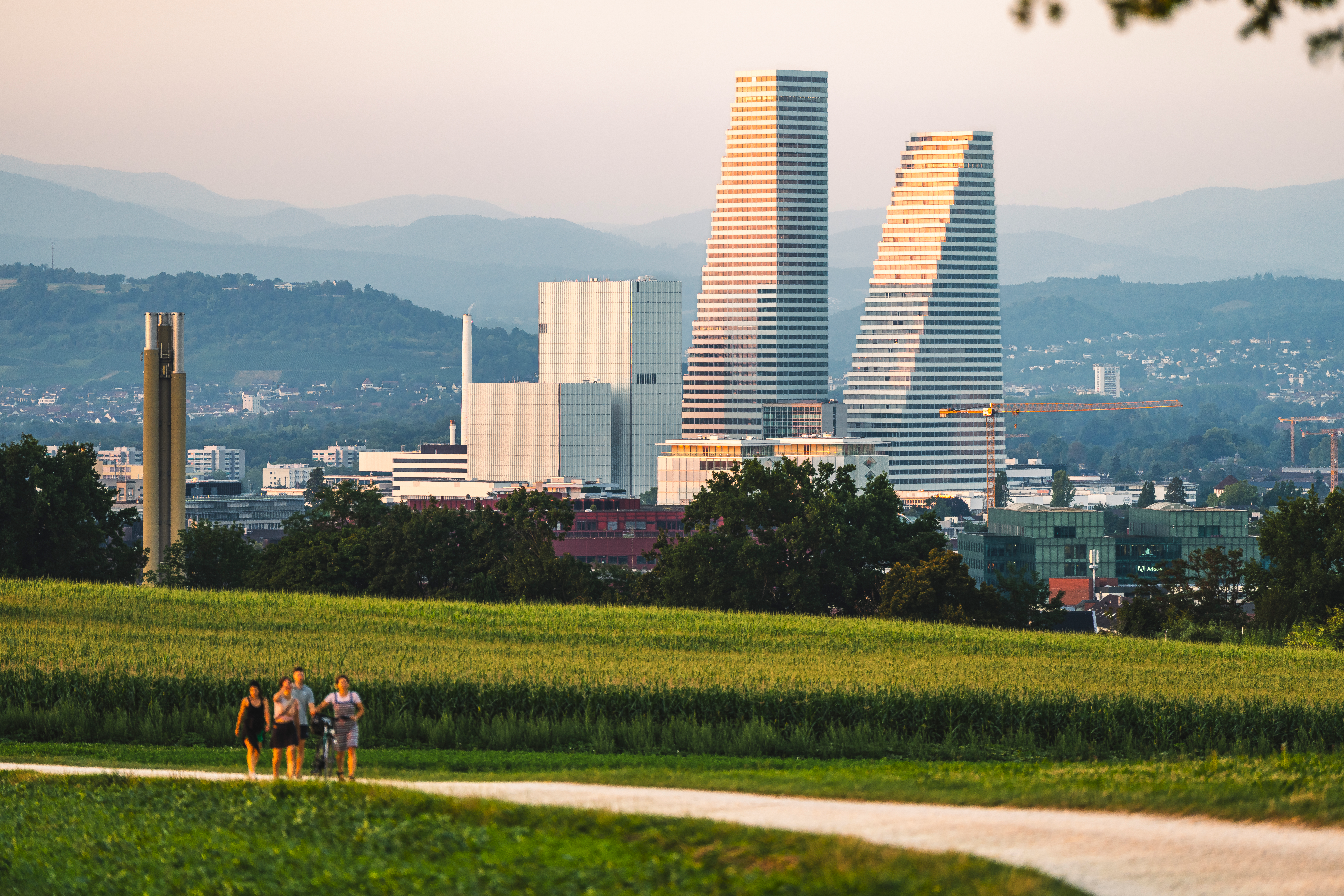 Blick auf die Roche-Türme vom Bruderholz aus